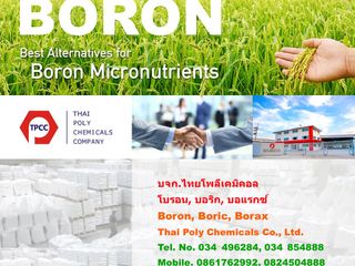 โบรอน, Boron, บอริกแอซิด, Boric acid, บอแรกซ์, Borax