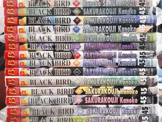 BLACKBIRD 18 เล่มจบ