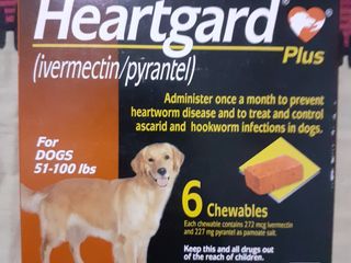 Heartgart Plus หมดปัญหา โรคพยาธิหัวใจ ในสุนัข