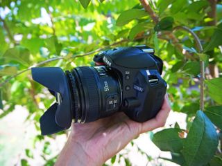 Nikon D3100 มือสอง KIT 18-55mm / FIX YN 50 F1.8 N