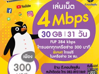 โปรเน็ต 4 Mbps 300 บ. 31 วัน (FUP 384 Kbps)