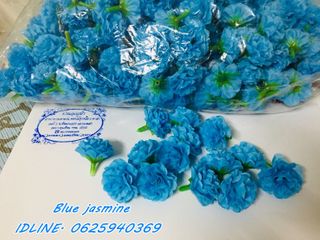 ดอกมะลิสีฟ้า