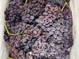 องุ่นไข่ปลา