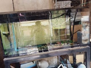 ตู้ปลา 60นิ้ว