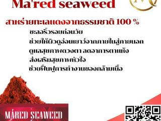 MARED SEAWEED ผลิตภัณฑ์อาหารเสริมจากสาหร่ายทะเลแดง