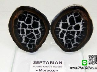 เซ็ปแทเรี่ยน Septarian (Dragonstone) ICS-0008892