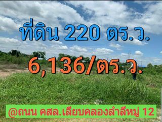 ขายที่ดินต่ำกว่าราคาตลาด 220 ตารางวา บางบัวทอง นนทบุรี