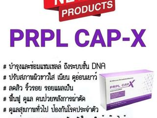 PRPL CAPX (เพอเพิล-แคปเอ็กซ์)