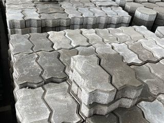 ตัวหนอนปูพื้นเชียงใหม่