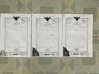 ขายที่ดินในพื้นที่เขตเศรษฐกิจพิเศษ ต.พระธาตุบังพวน อ.เมือง