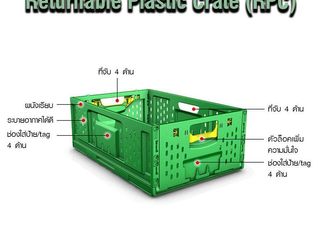 Returnable Plastic Crate (RPC) ตะกร้าพลาสติกพับได้