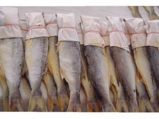 ขายปลากุเลาเค็ม ของแท้จากดอนสัก จ.สุราษฎร์ธานี