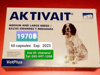 Aktivait medium and large breed (60 แคปซูล)