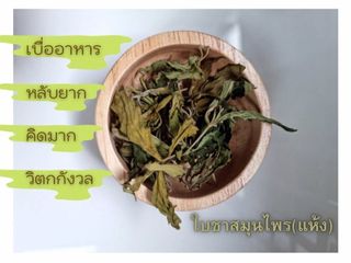 ใบชา(กัญแห้ง)สมุนไพรไทย