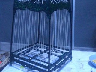 กรงสปอต