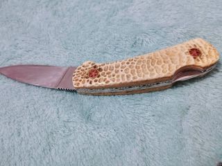 มีดตัดทุเรียน กระดองตะพาบ