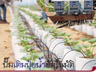 ลดสารไนเตรทในพืชไฮโดรโปนิกส์ ด้วยฟีดปั๊มความแม่นยำสูง