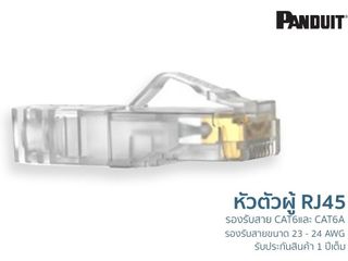 หัวสายแลนตัวผู้ Modular Plug Cat6 Panduit
