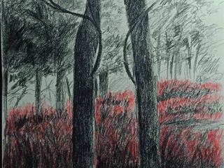 ขาบเป็นเซ็ตเหมาจ้า