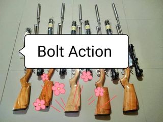 Sp bolt Actioj hunting