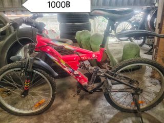 จักรยานลูกชาย