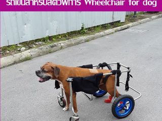 วีลแชร์สุนัข รถเข็น