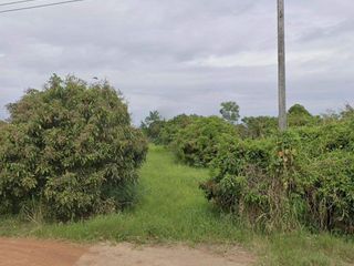 ขายที่ดินสวนลำไย น้ำไฟเข้าถึง ต้นลำไย พร้อมผลผลิต