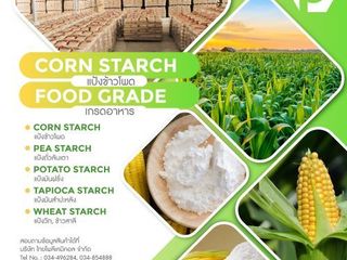 แป้งข้าวโพด, CORN STARCH, คอร์นสตาร์ช, MAIZE STARCH