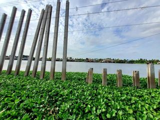 ขายที่ดินติดแม่น้ำเจ้าพระยา 600 ตารางวา ถมแล้วทั้งแปลง