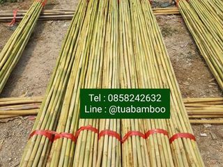 ไม้ไผ่รวกแช่น้ำยาป้องกันมอด ขนาด 1 นิ้ว ยาว 3 เมตร