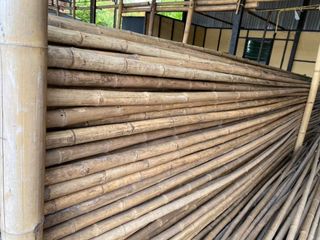 ไม้ไผ่แช่น้ำยาป้องกันมอด ไม้ไผ่แห้งแช่น้ำยา ไม้ไผ่ไร้มอด