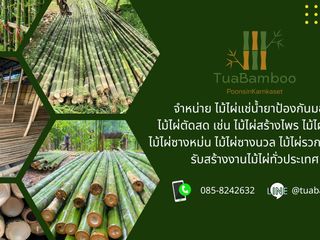 ขายไม้ไผ่ราคาถูกจัดส่งทั่วไทย