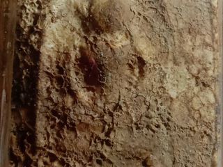 พระสมเด็จ