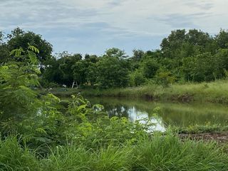 ขายที่สีม่วงสร้างโรงงานได้ 10 ไร่ หน้ากว้างมาก ขายถูก ต.คลอง