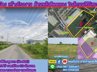 ขายที่สีม่วง ด้านหลังติดคลอง 22 ไร่ ( แบ่งขายครึ่งหนึ่งได้ )