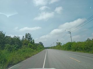 ขายที่สีม่วง ติดถนนสาธารณะ 3 ด้าน 70 ไร่ (แบ่งขายได้)