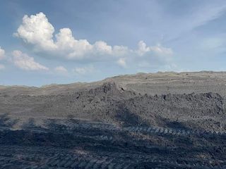 ขายขี้เค้กอ้อย ขายเค้กอ้อย ขายฟิลเตอร์เค้ก FilterCake