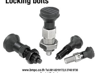 Locking bolt, Indexing plunger, Plunger with pin, สลักล๊อ