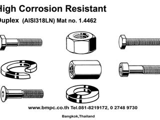 High corrosion resistant fasteners, Duplex bolt, A5, AISI316