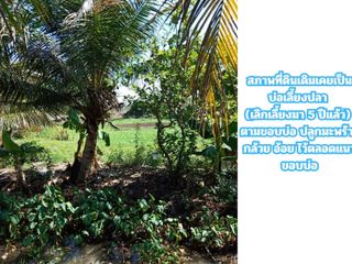 ขายที่ดิน 1 ไร่ 69 ตรว.หน้ากว้างติดถนน 40 เมตร หมู่ 10
