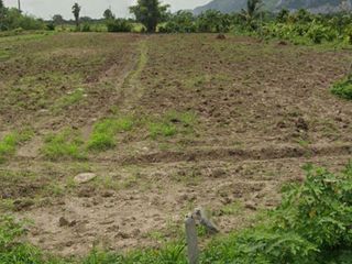 ขายที่ดินวิวภูเขา เหมาะทำการเกษตรหรือบ้านพักตากอากาศ สระบุรี