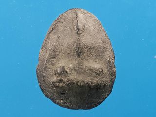 พระผงกระดูกผีคลุกรัก กลีบบัว วัดบูรพ์ ปี 2480 ประกันสากล