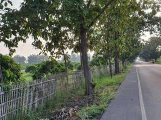 ขายที่ดินสวนลำไย ทำเลดี เมืองลำพูน