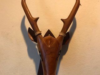 หัวกวางติดผนัง