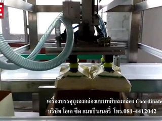 เครื่องบรรจุสินค้าลงกล่อง แบบหยิบลงกล่อง Cordinated Robot Pa