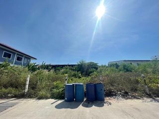 ขาย/ให้เช่า ที่ดิน ติดถนน ทำเลดี ในชลบุรี