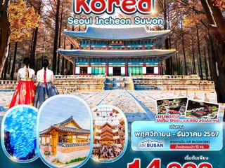 Seoul Incheon Suwon 5วัน 3คืน