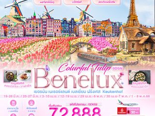 Tulip Benelux 8 วัน 5 คืน