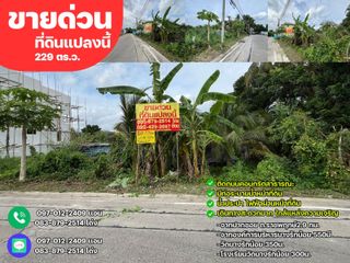 ขายด่วนที่ดิน 229ตารางวา เมืองนนทบุรี จังหวัดนนทบุรี