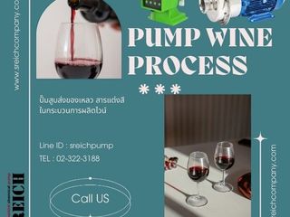 โดสซิ่งปั๊ม Dosing pump เครื่องจ่ายสารละลาย เติมสารปรุงแต่ง
